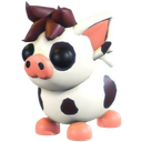 Mini Pig